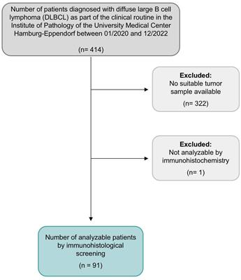 NTRK fusion protein expression is absent in a large cohort of diffuse large B-cell lymphoma